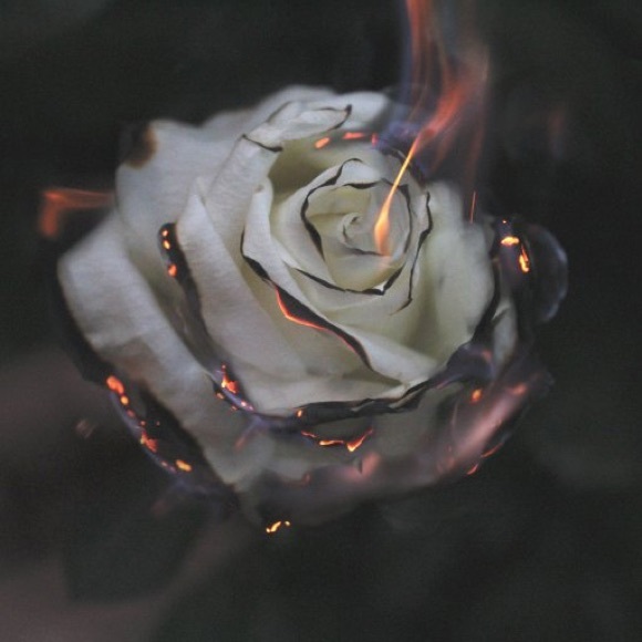 saltedwithfire